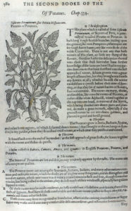 The Herball or Generall Historie of Plantes (1597) p780