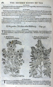 The Herball or Generall Historie of Plantes (1597) p782