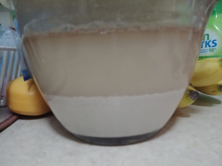 How to Harvest Yeast A Baker's Peel Vert